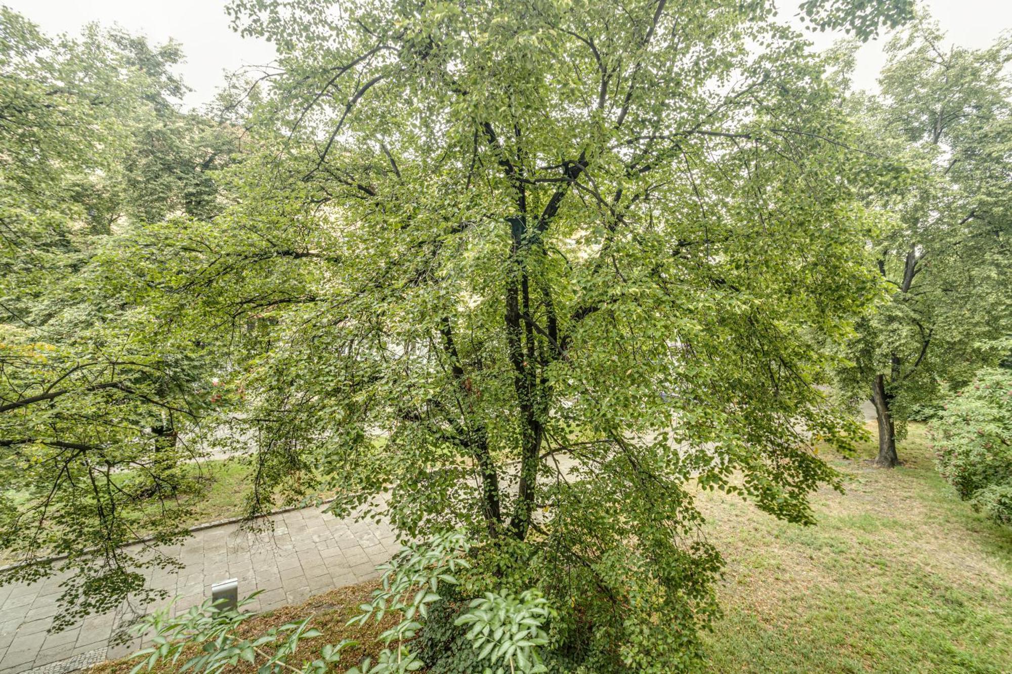 Rentplanet - Apartament Kosciuszki Breslavia Esterno foto