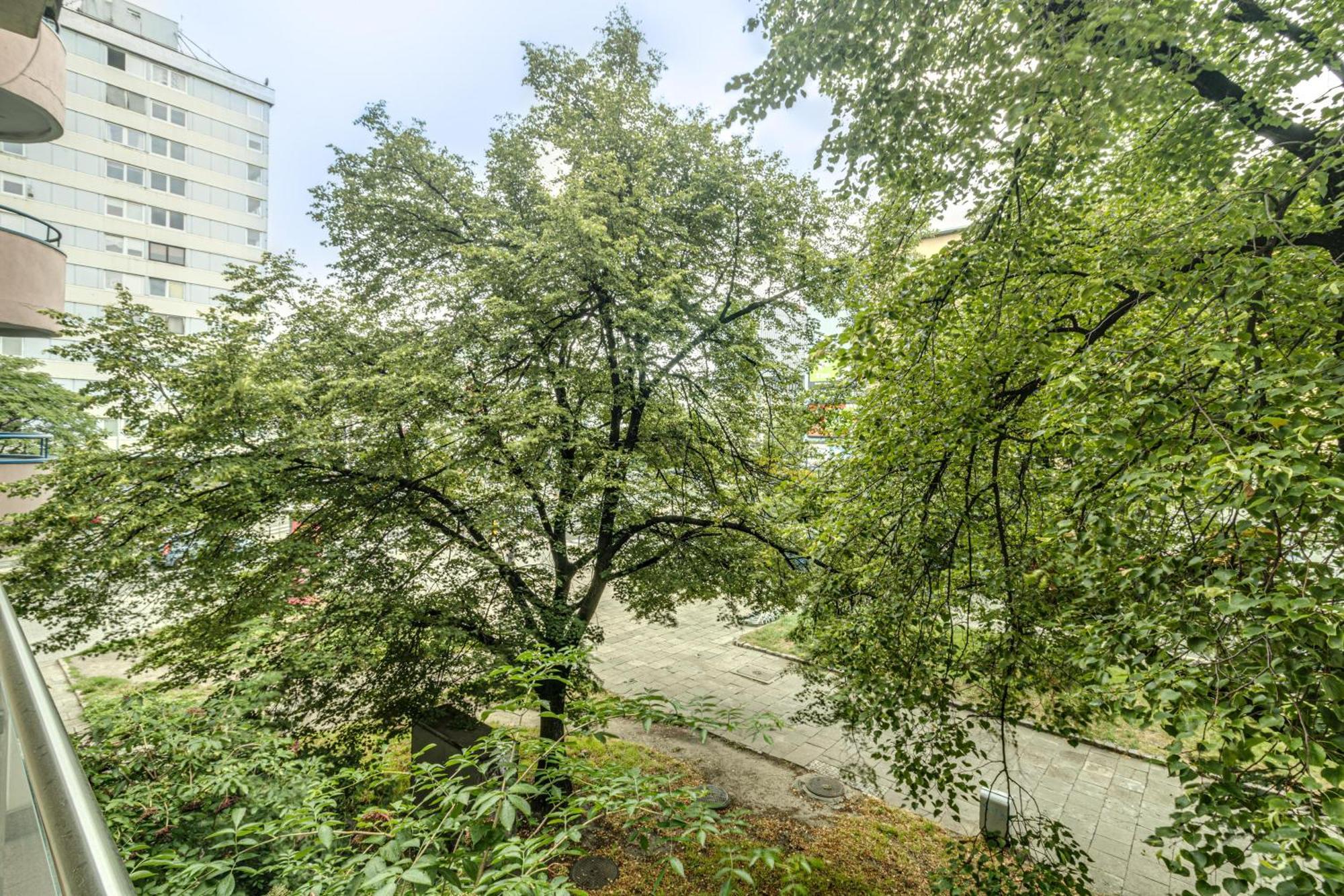 Rentplanet - Apartament Kosciuszki Breslavia Esterno foto